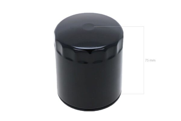 Filtre d'huile Kubota L1, GL, GT, KL, KT, T, Hinomoto NX, NTX, NZ, TZ, Yanmar FV – Image 3
