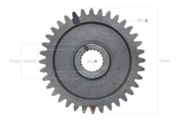 Roue dentée 36TX20T