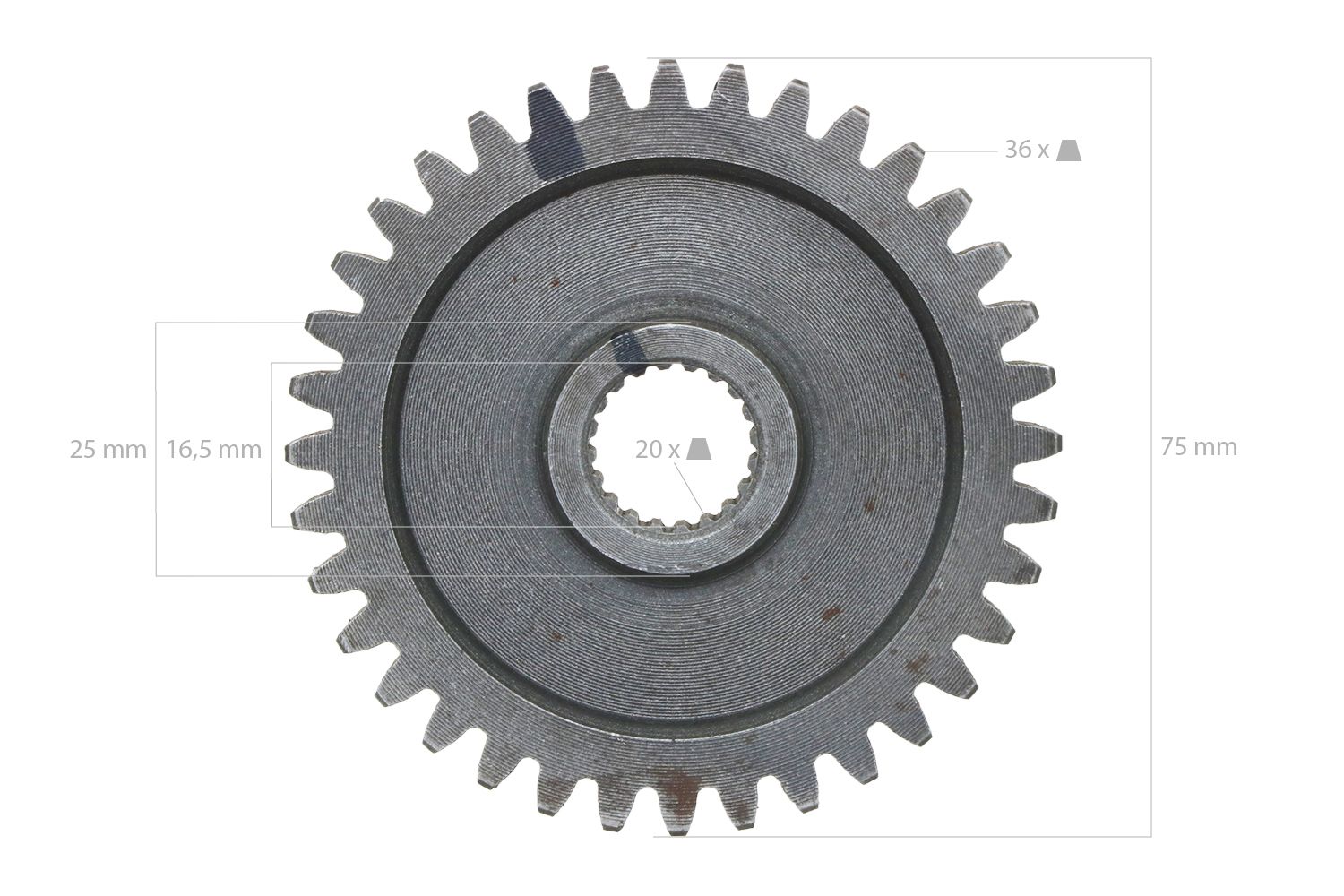 Roue dentée 36TX20T
