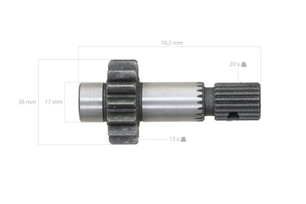 Roue dentée