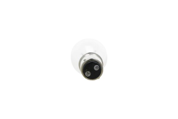 Universel Ampoule – Image 2