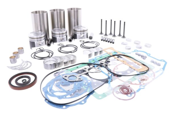 Kit de révision du moteur Kubota D1105