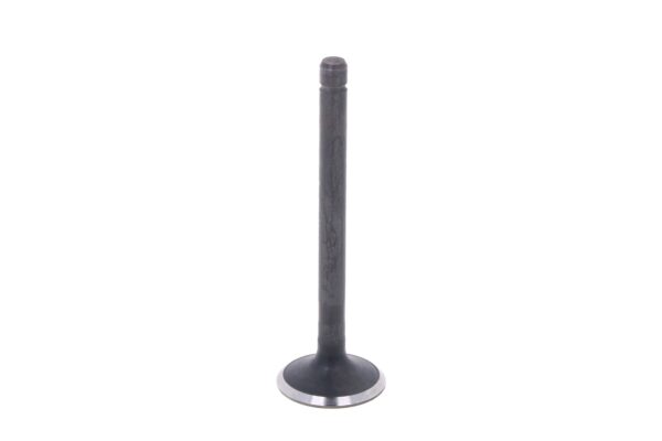 Soupape d'échappement Kubota V2403MDI