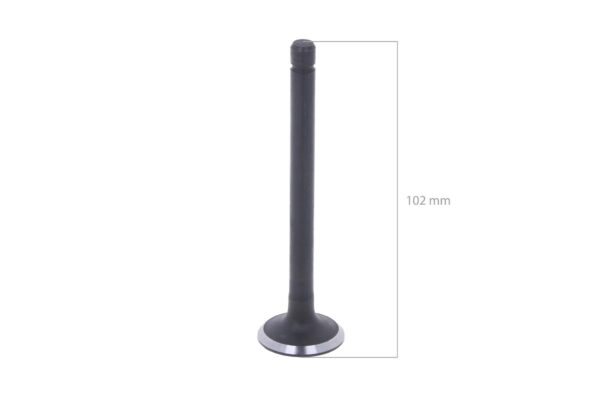 Soupape d'échappement Kubota D1703, V1903