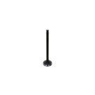 Soupape d'admission Shibaura N843, N844, Perkins 403, 404, Caterpillar 3013, 3024,