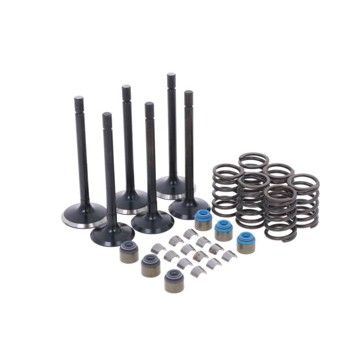 PVTK308, VTK308, HCPVTK308, BVTK559, VTK559, P120166350, 120166350, SBA120166350, P120176360, 120176360, SBA120176360, P198217470, 198217470, SBA198217470, P120226070, 120226070, SBA120226070, 