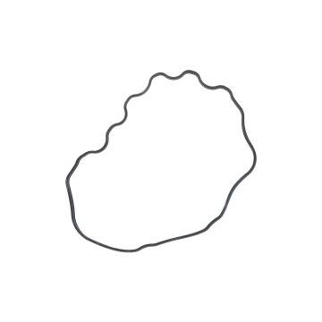 Iseki Joint de couvercle de soupape E3AE1, E3AF1, E3AD1, E3AG1, TU, TL , TE