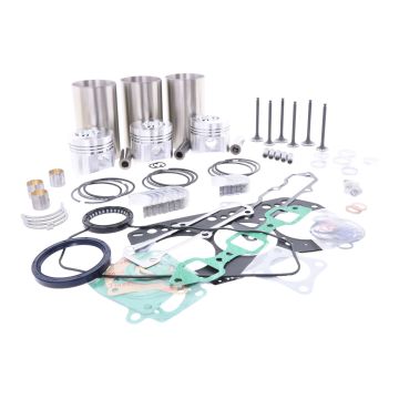 Kit de révision du moteur (injection directe) Yanmar 3TNC80