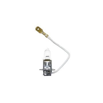 Ampoule 12V-55W Captain 263, 273