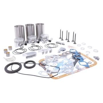 Kit de révision du moteur injection indirecte Yanmar 3TNV66