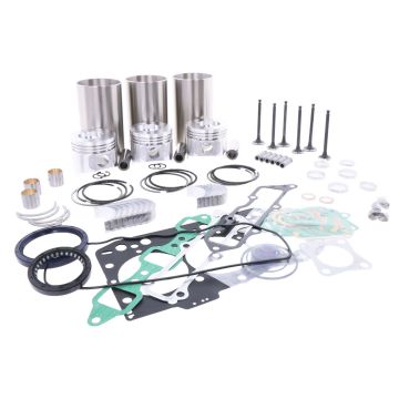 Kit de révision du moteur (injection directe) Yanmar 3TN82